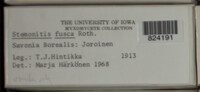 Image Associated With the Occurence
